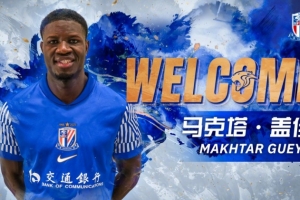 申花新外援盖伊身价250万欧并列中超第8，热菲尼奥450万欧居首